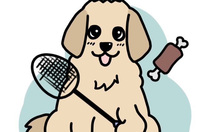 イラストレーター／デザイナー、スタイリッシュ