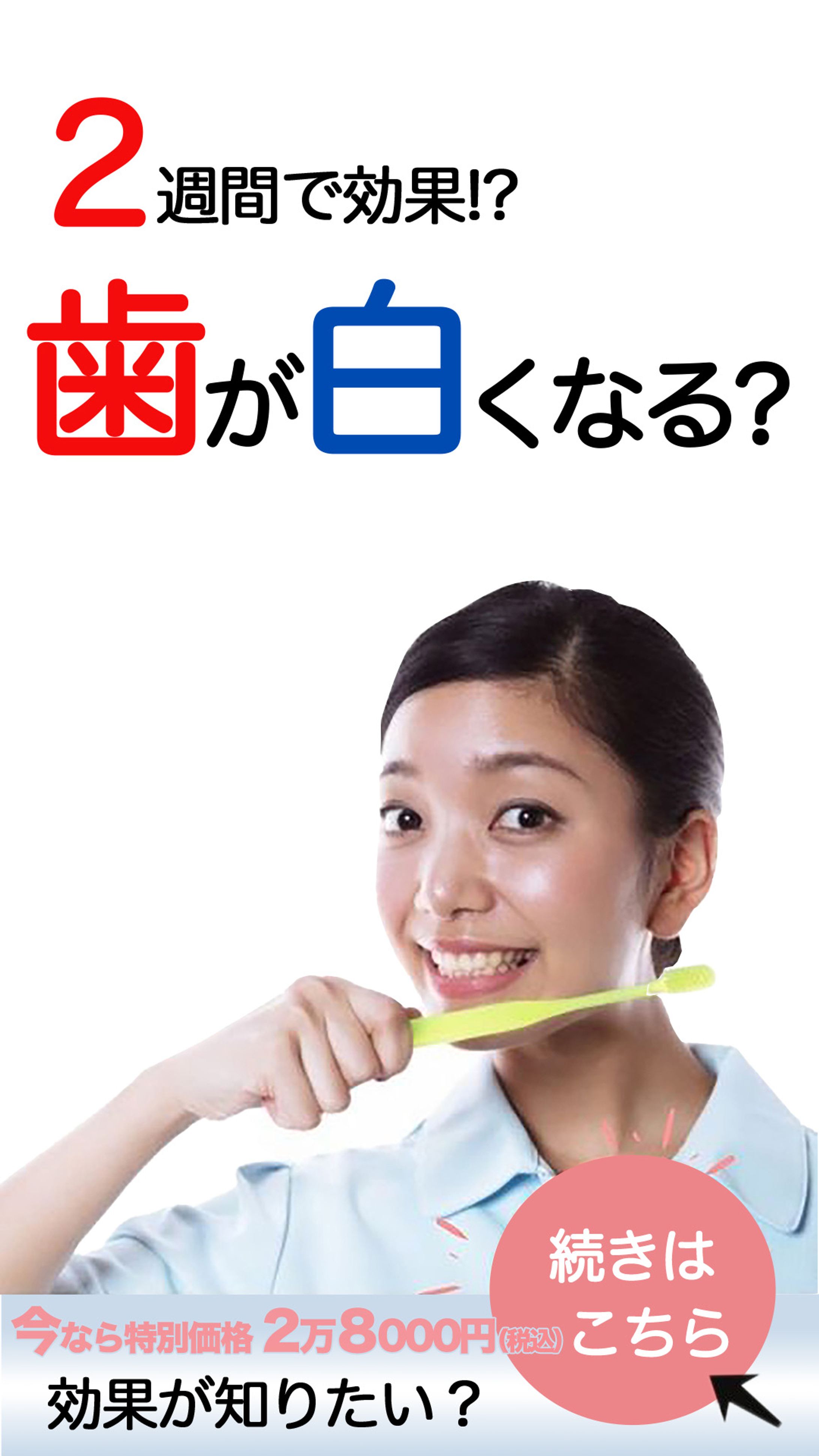 banner2　美容-1