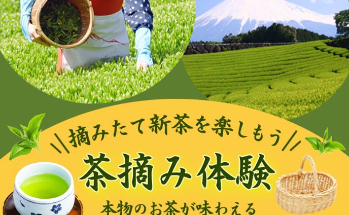 バナー：茶摘み体験