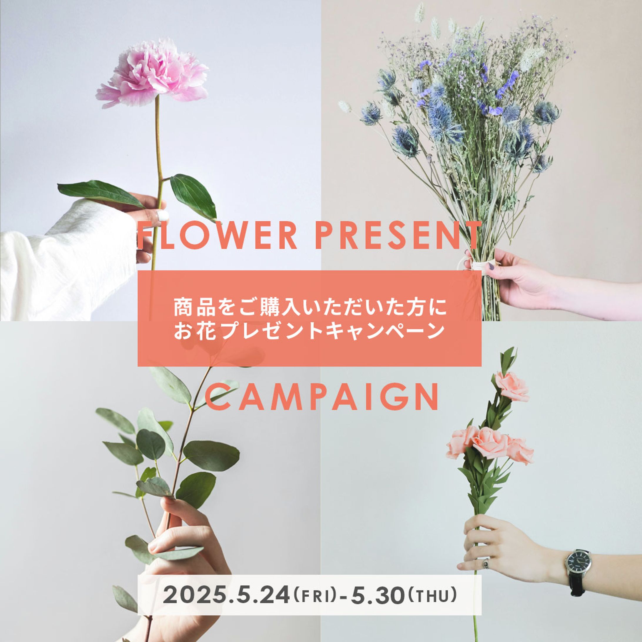 プレゼントキャンペーン-1