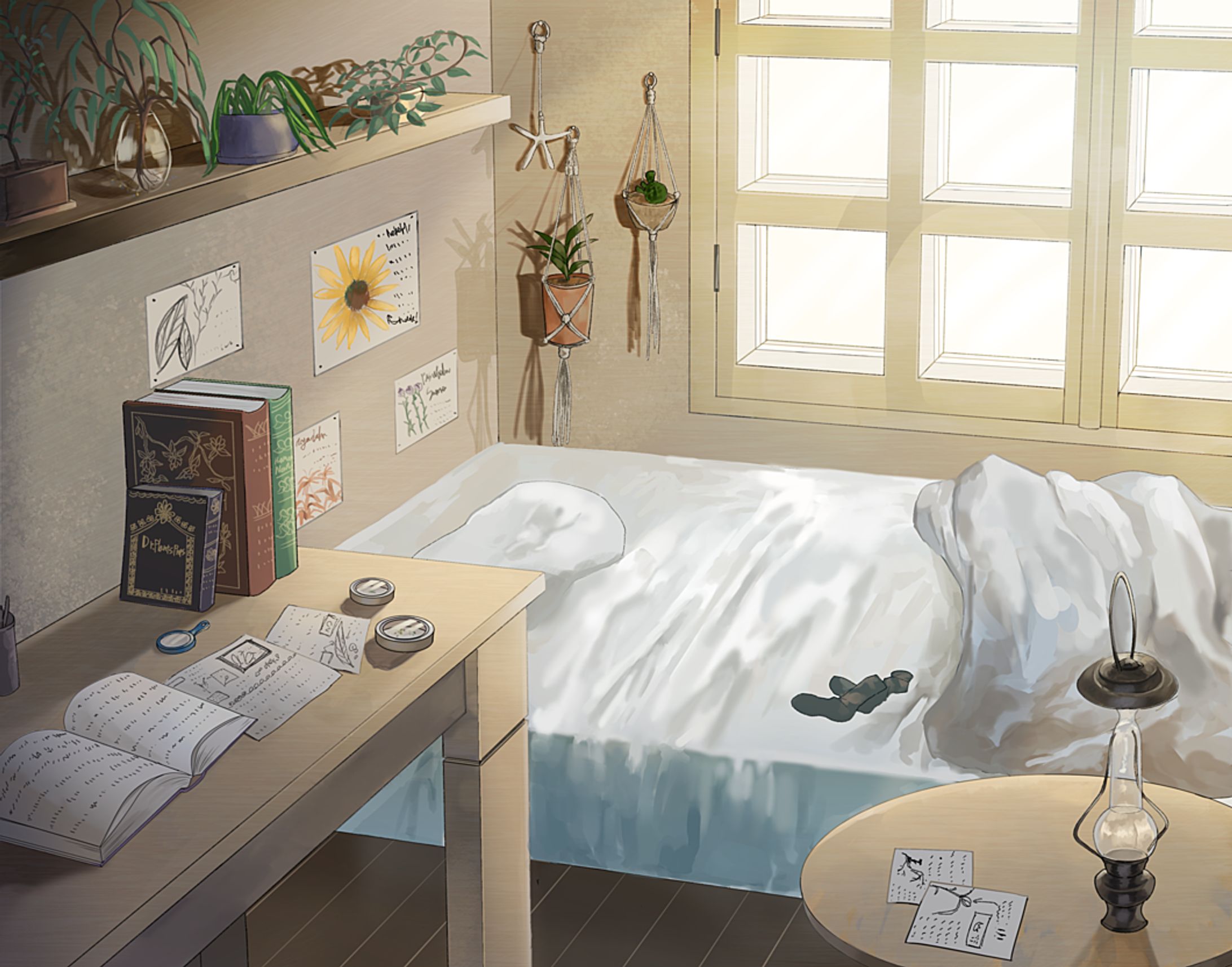 Dr.Plant room-1