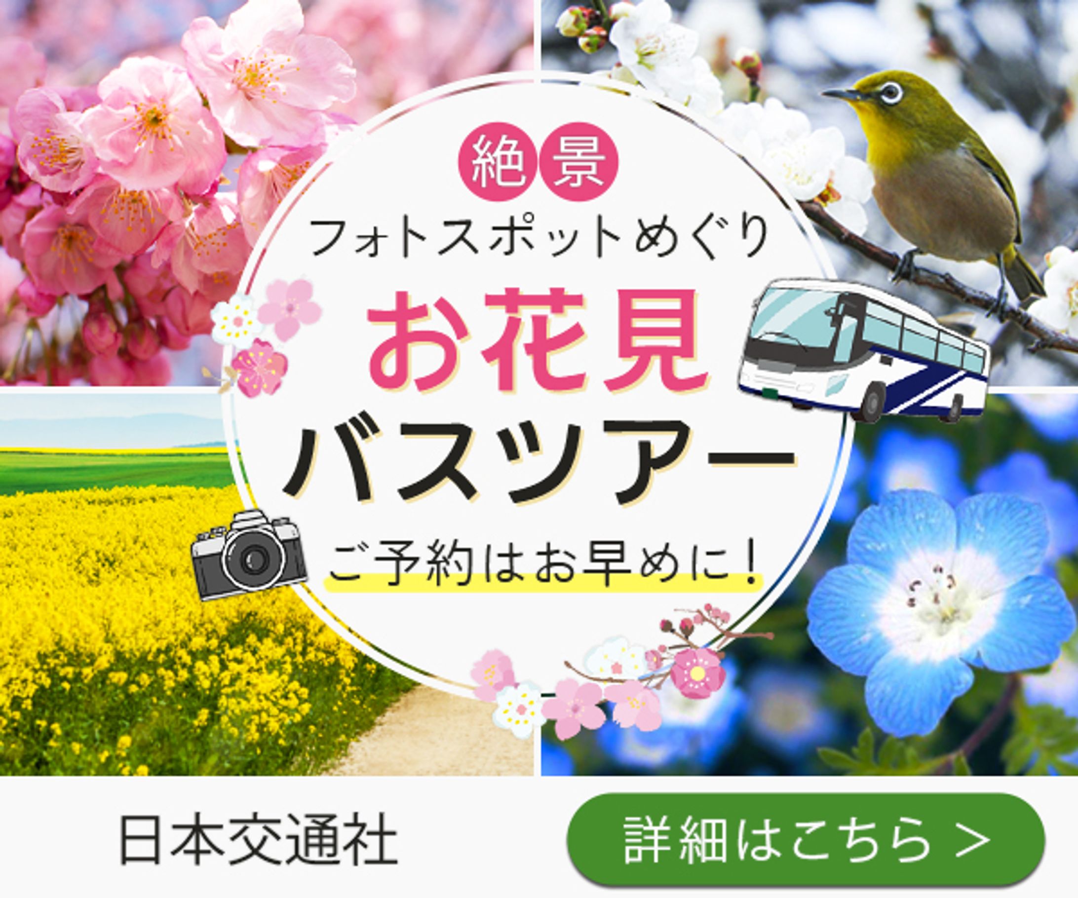 【バナー】お花見バスツアー-1