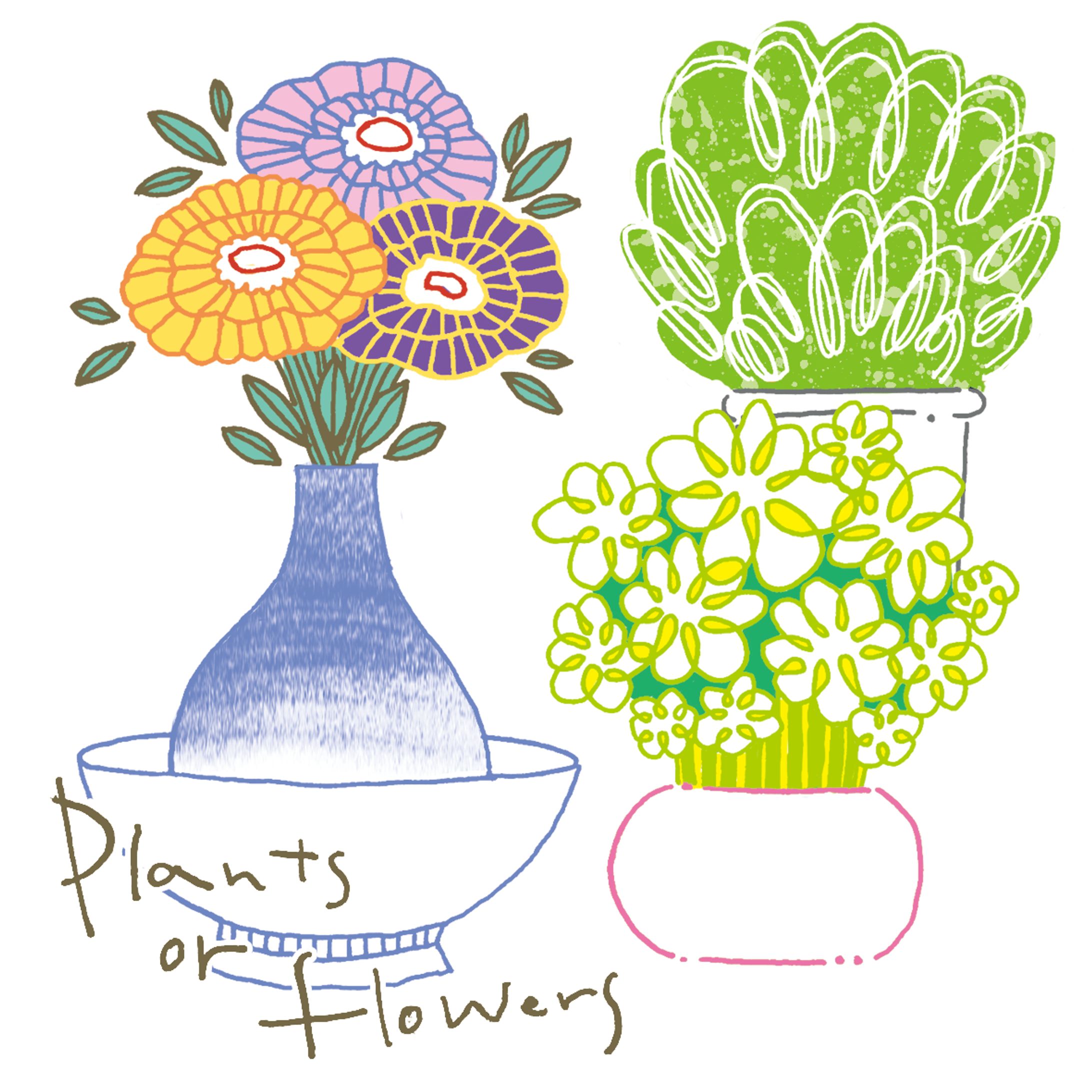 plants-1