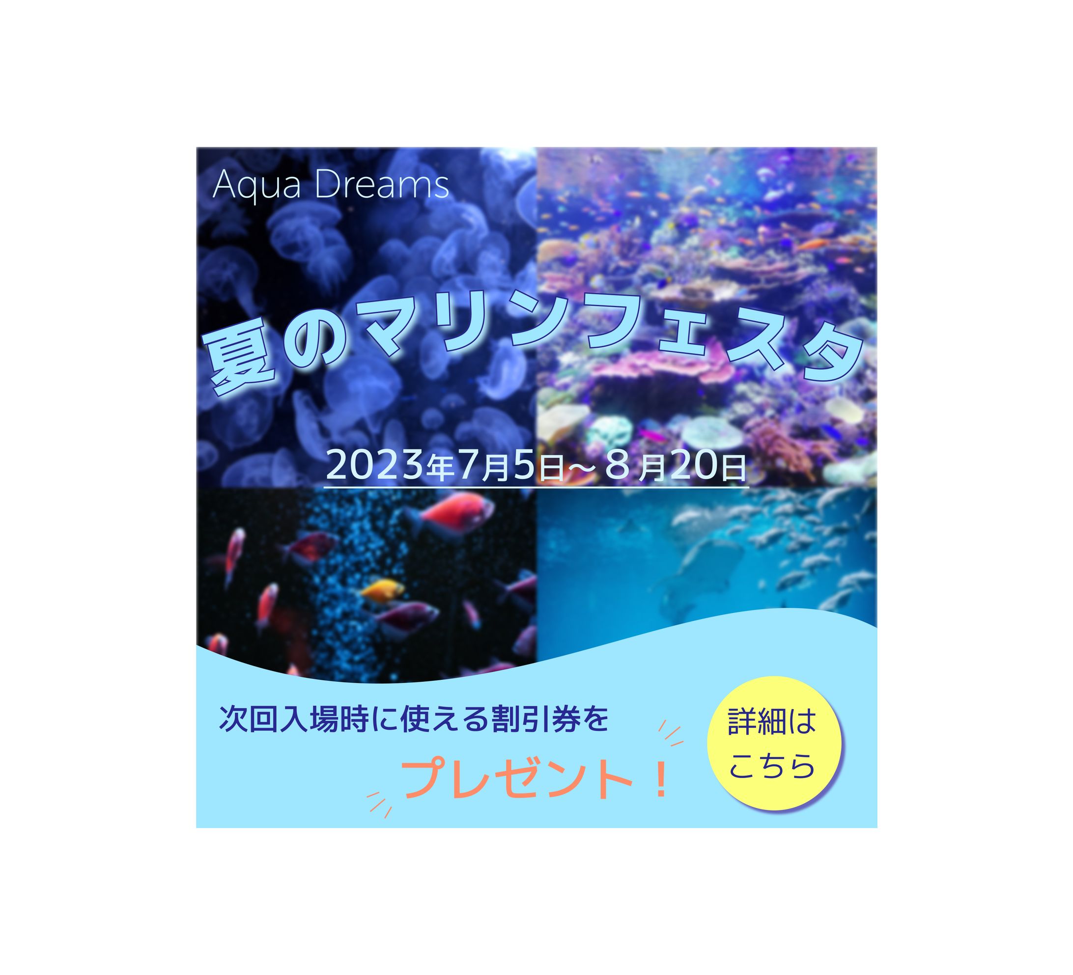 水族館　バナー-1