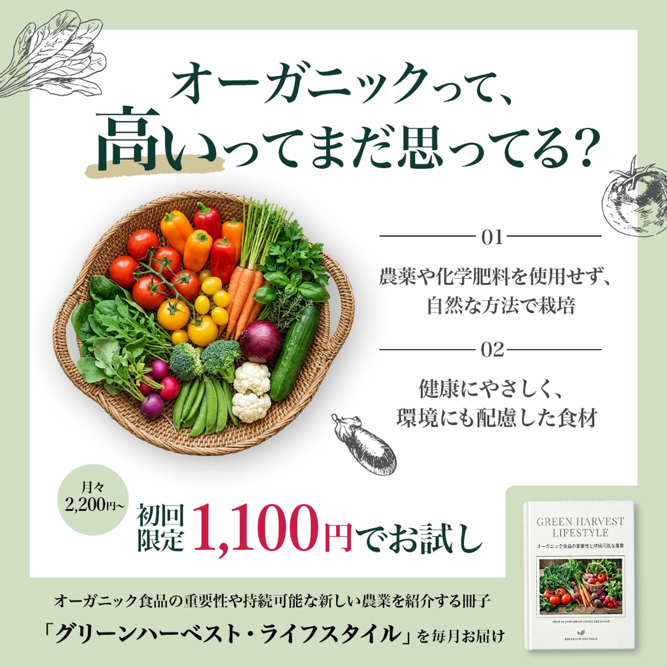 【バナー】オーガニック野菜定期便（架空）-1