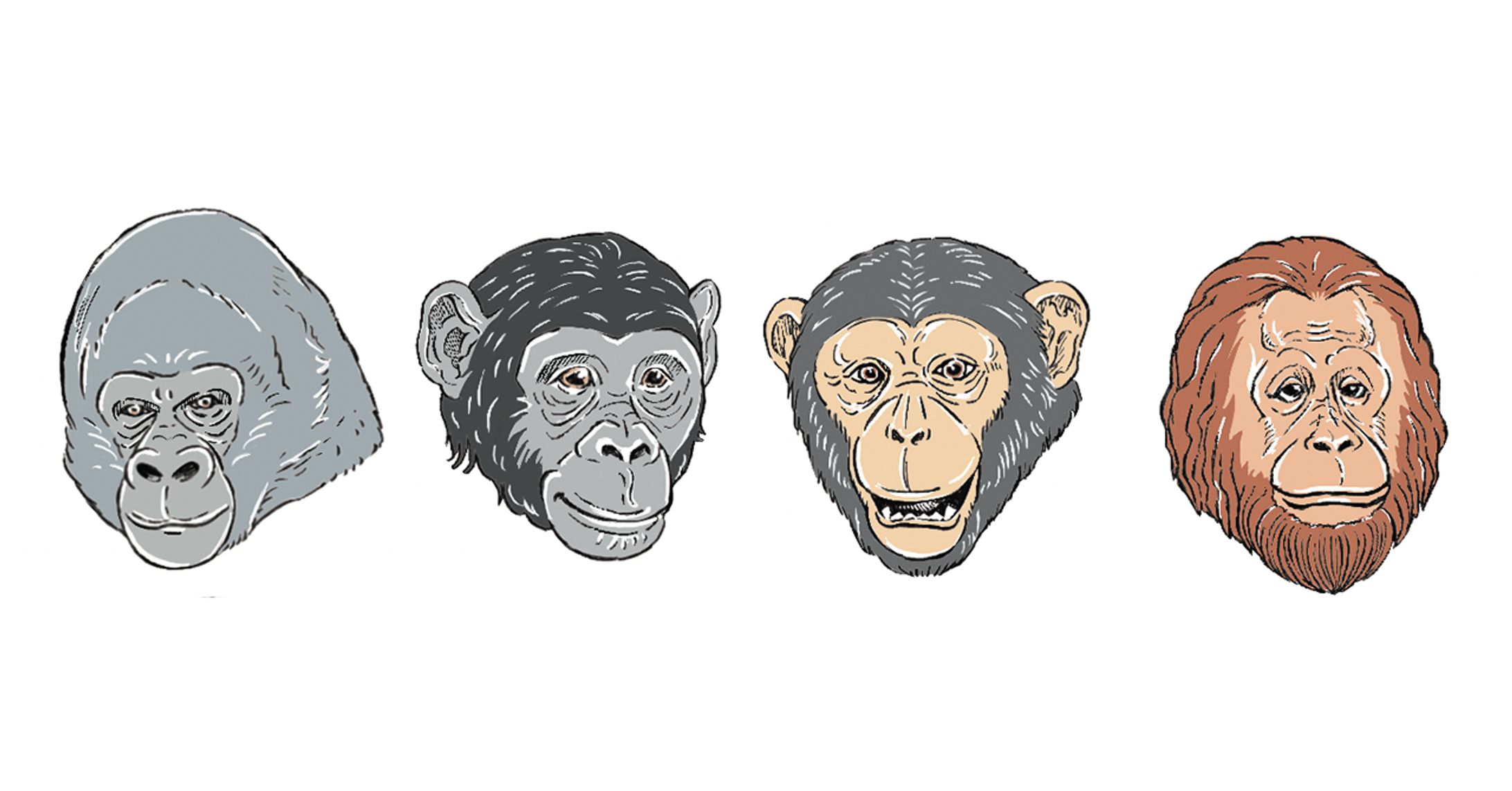 歯科医キャリア専門誌「BRUSH」vol.20-1