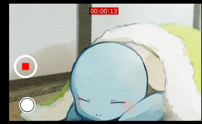 実家のゼニガメ