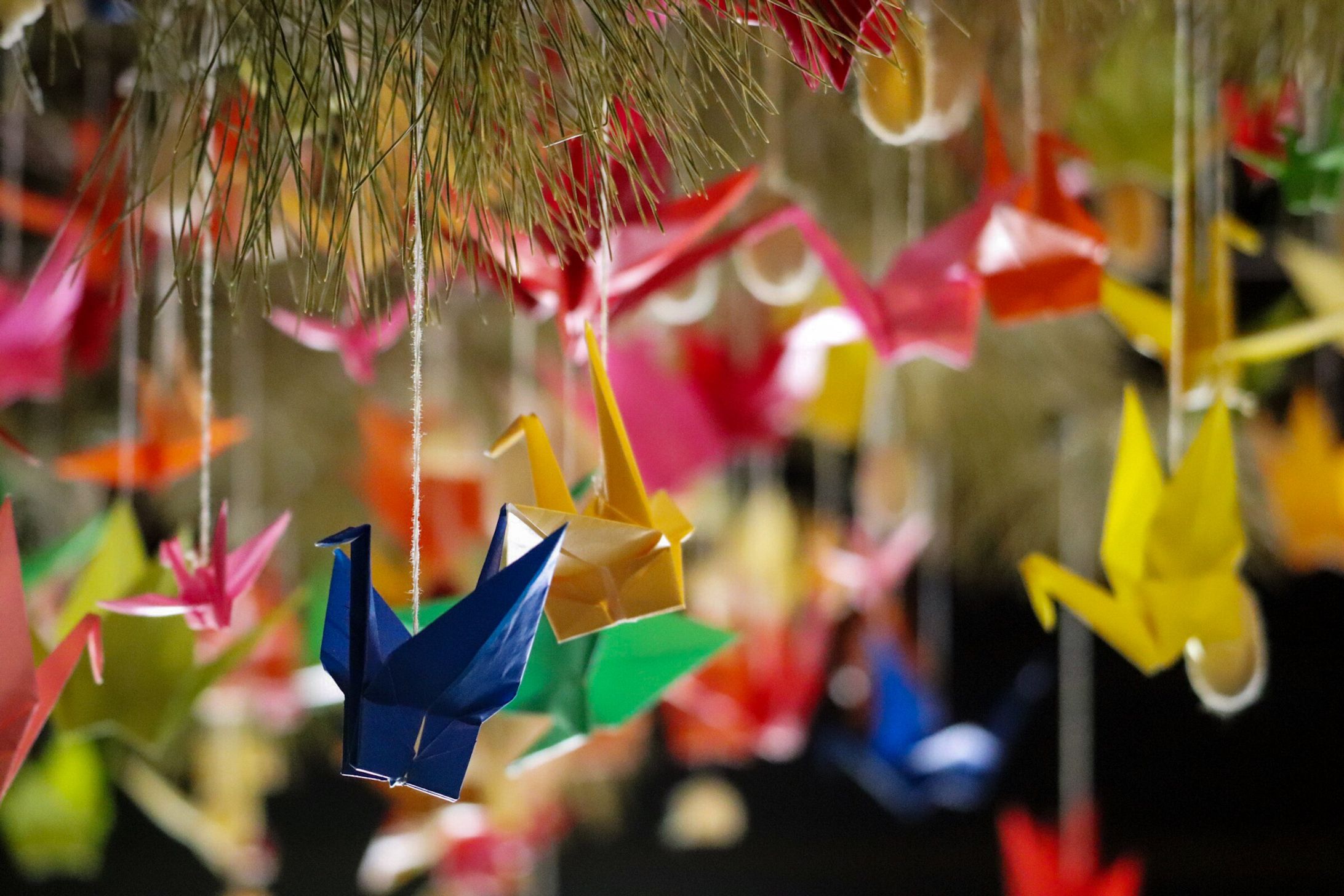 写真撮影/RAW現像-1