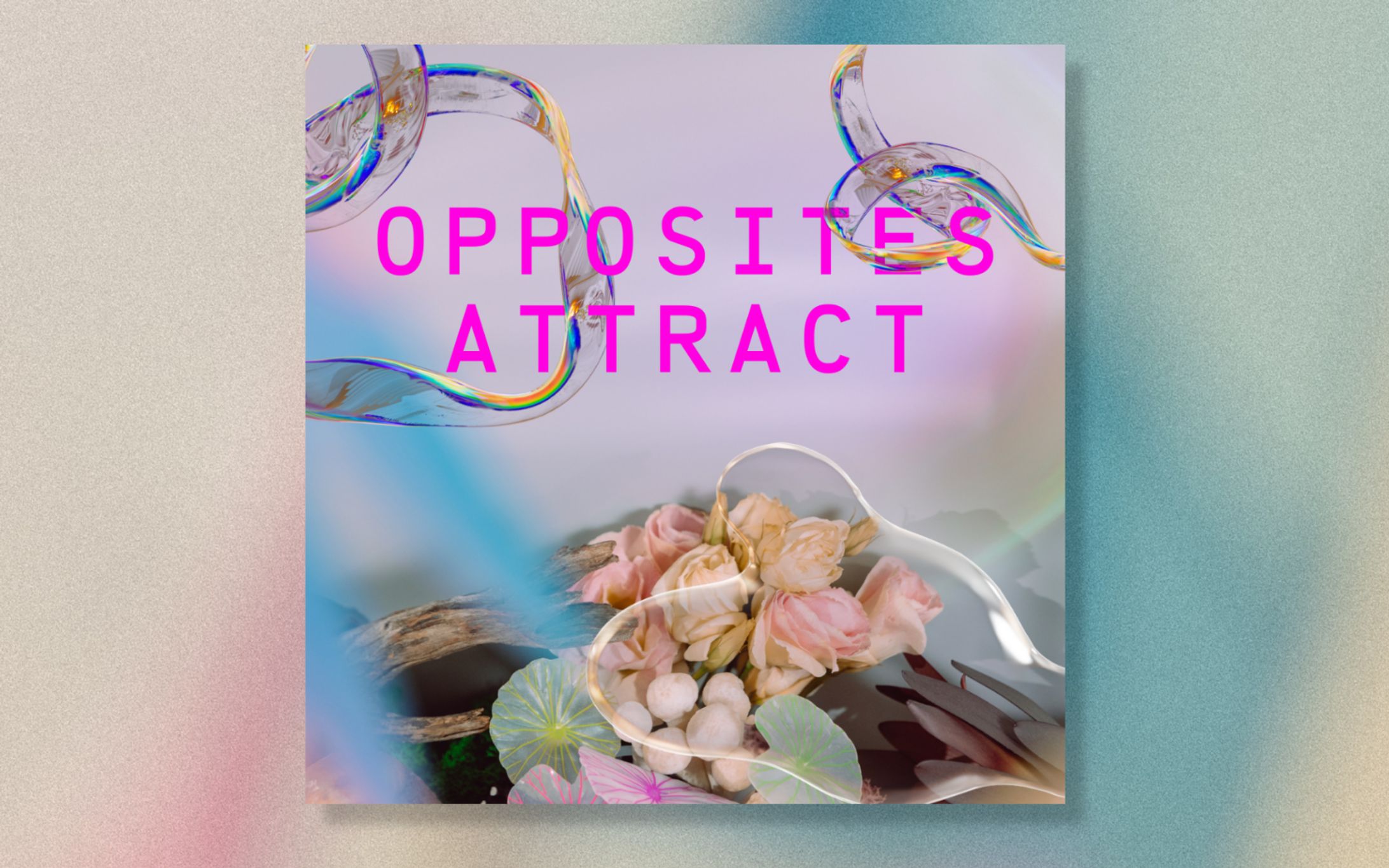 Oposites Attact-1