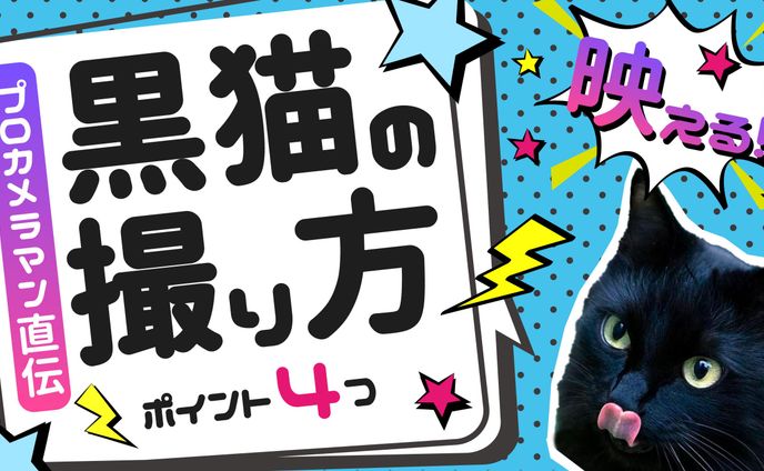 サムネイル　HOW TO ペット写真
