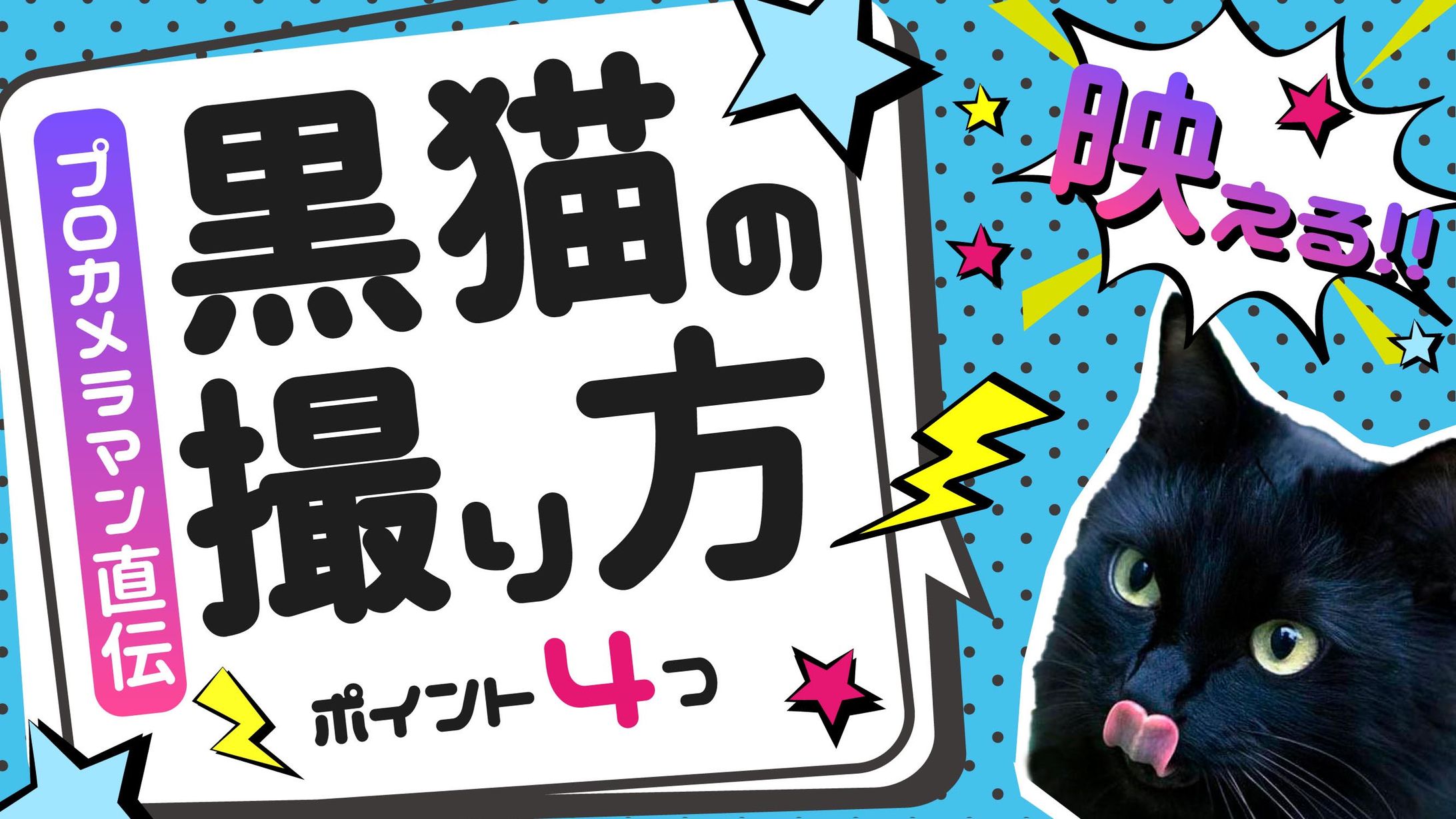 サムネイル　HOW TO ペット写真-1