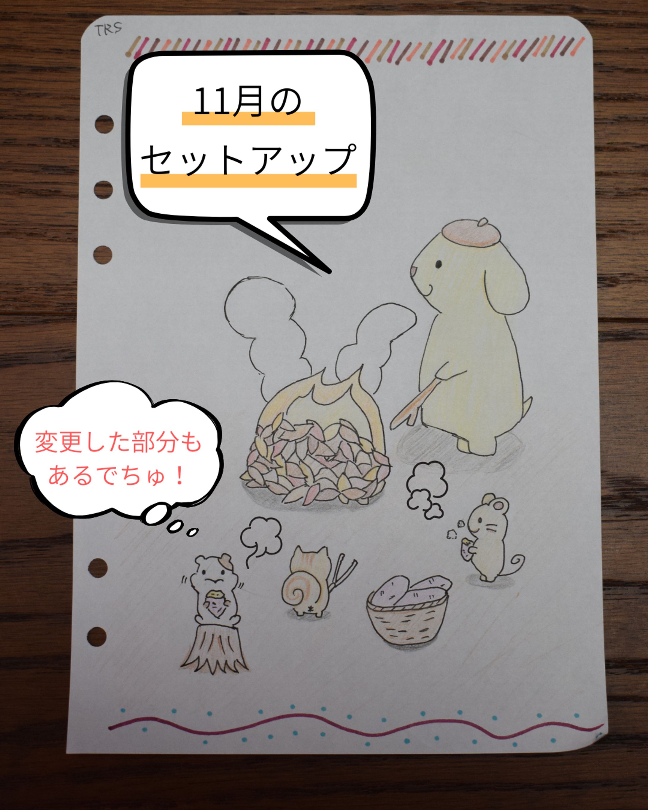 11月セットアップ-1