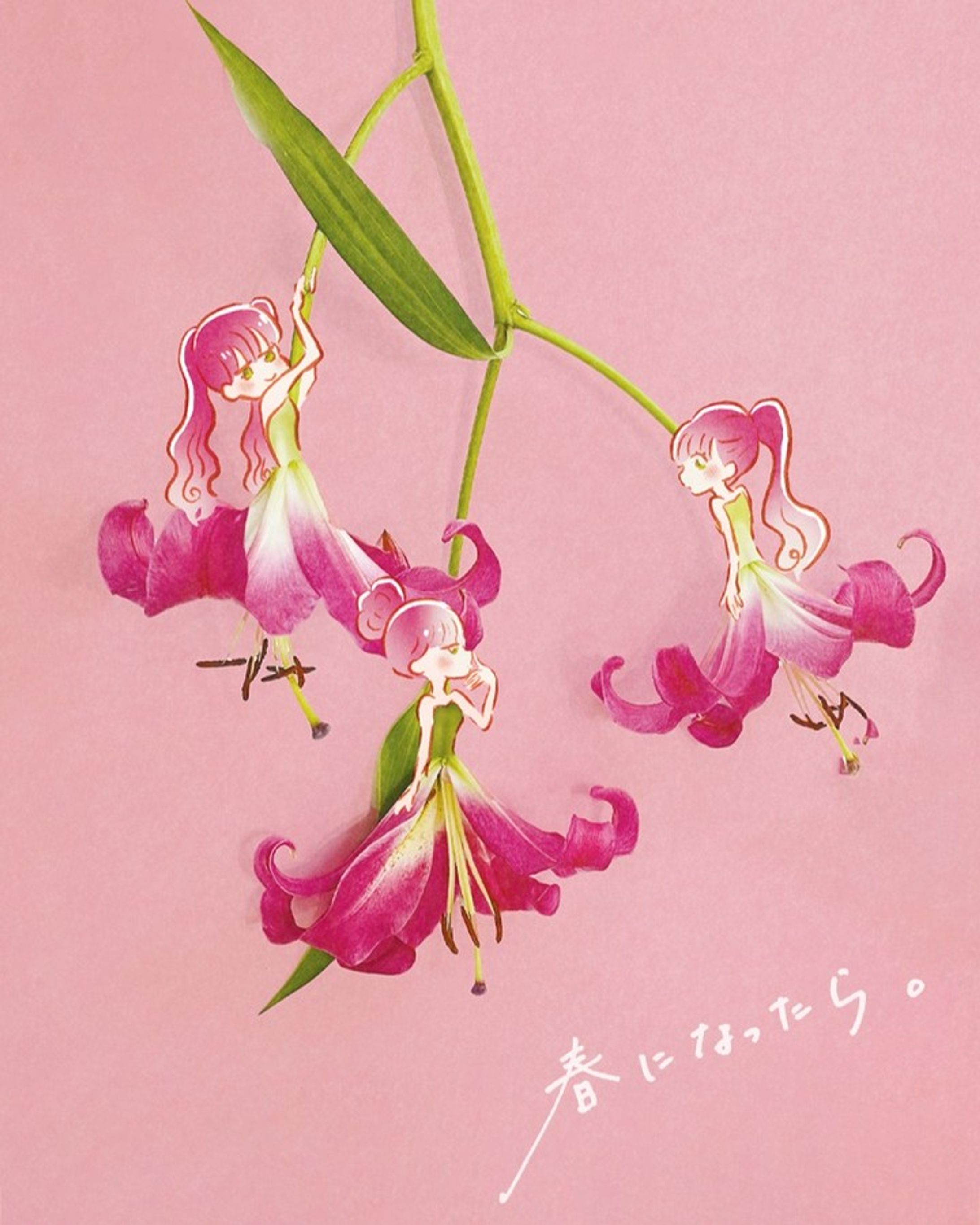百合【ゆり】
花言葉は純粋、無垢

- - - - - - - - -

kleeさん(@kleenophoto)の素敵な手書き文字を入れさせていただきました🌷
Twitterフォロワー3000人おめでとうございます🥳

- - - - - - - - -

他の投稿はこちらから✨ → @enayacomic

- - - - - - - - -

#はしもとあやね #ふぉといらすと #写真Xイラスト #花とイラスト
#広告イラスト #Lily #ピンク #pink #春 #百合 #illustration #イラスト #オリジナルイラスト
#女の子イラスト #イラストグラム #写真にお絵描き　#photodoodle #flower #写真に落書き #写真にお絵描き #girl #illust #illustration #artwork #art #그림계정맞팔 #日常に魔法をかけて #絵本のような世界 #花のドレス-1