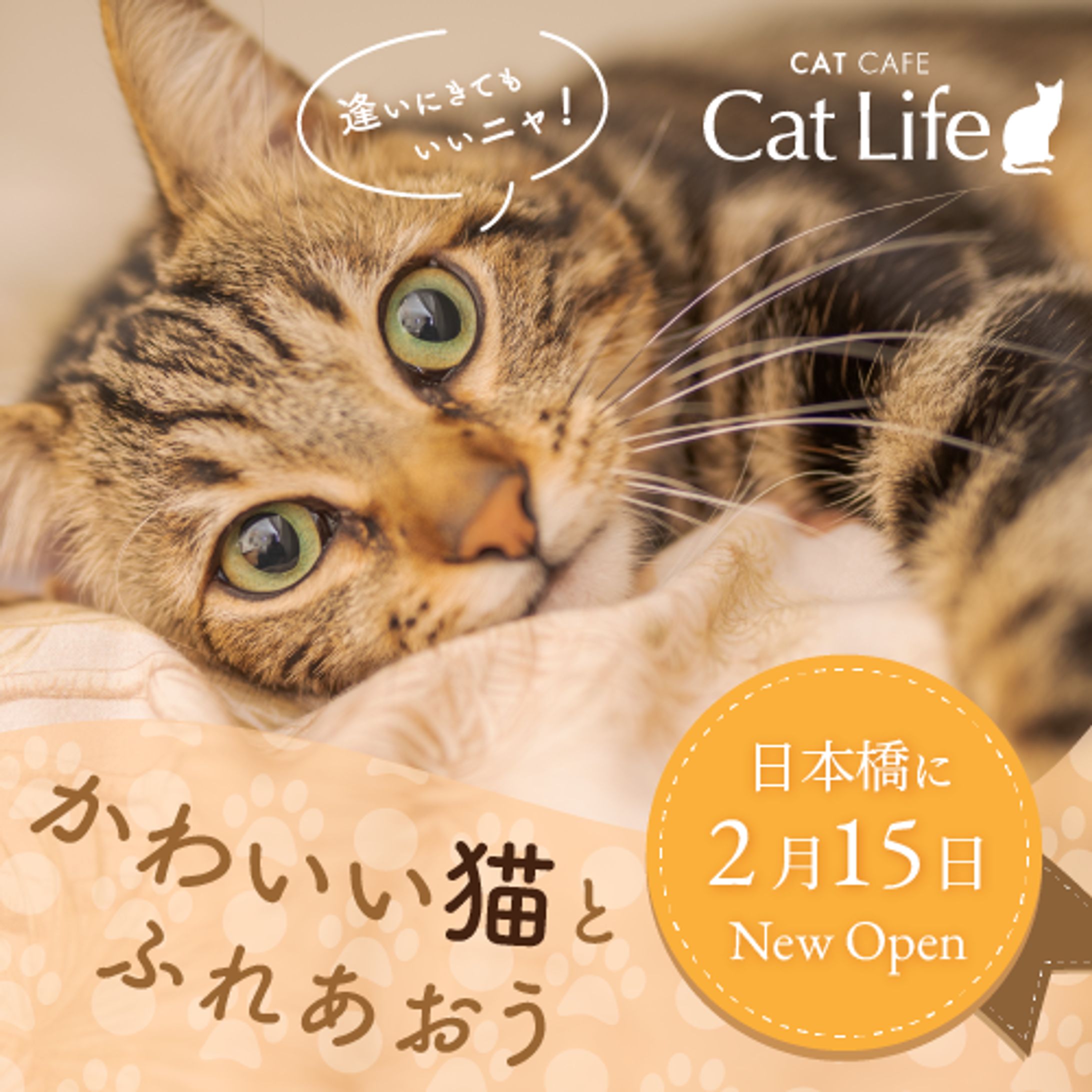 猫カフェのオープン告知バナー-1