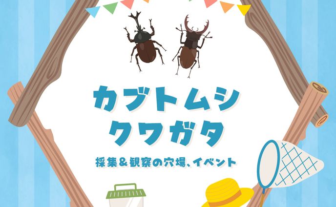 ディレクター、seo