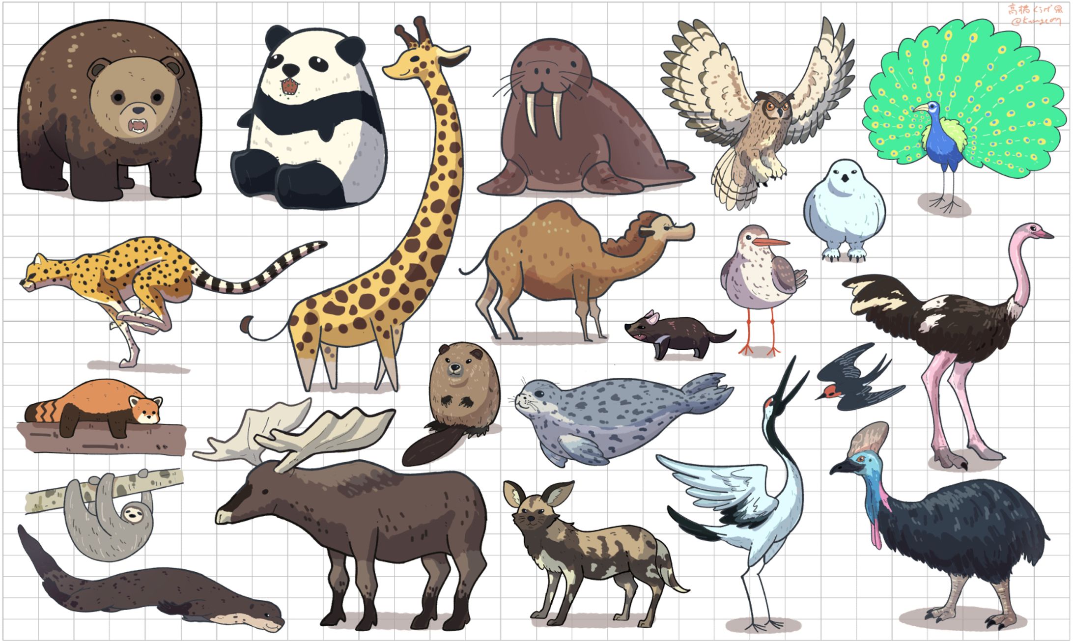 いきものイラスト-1