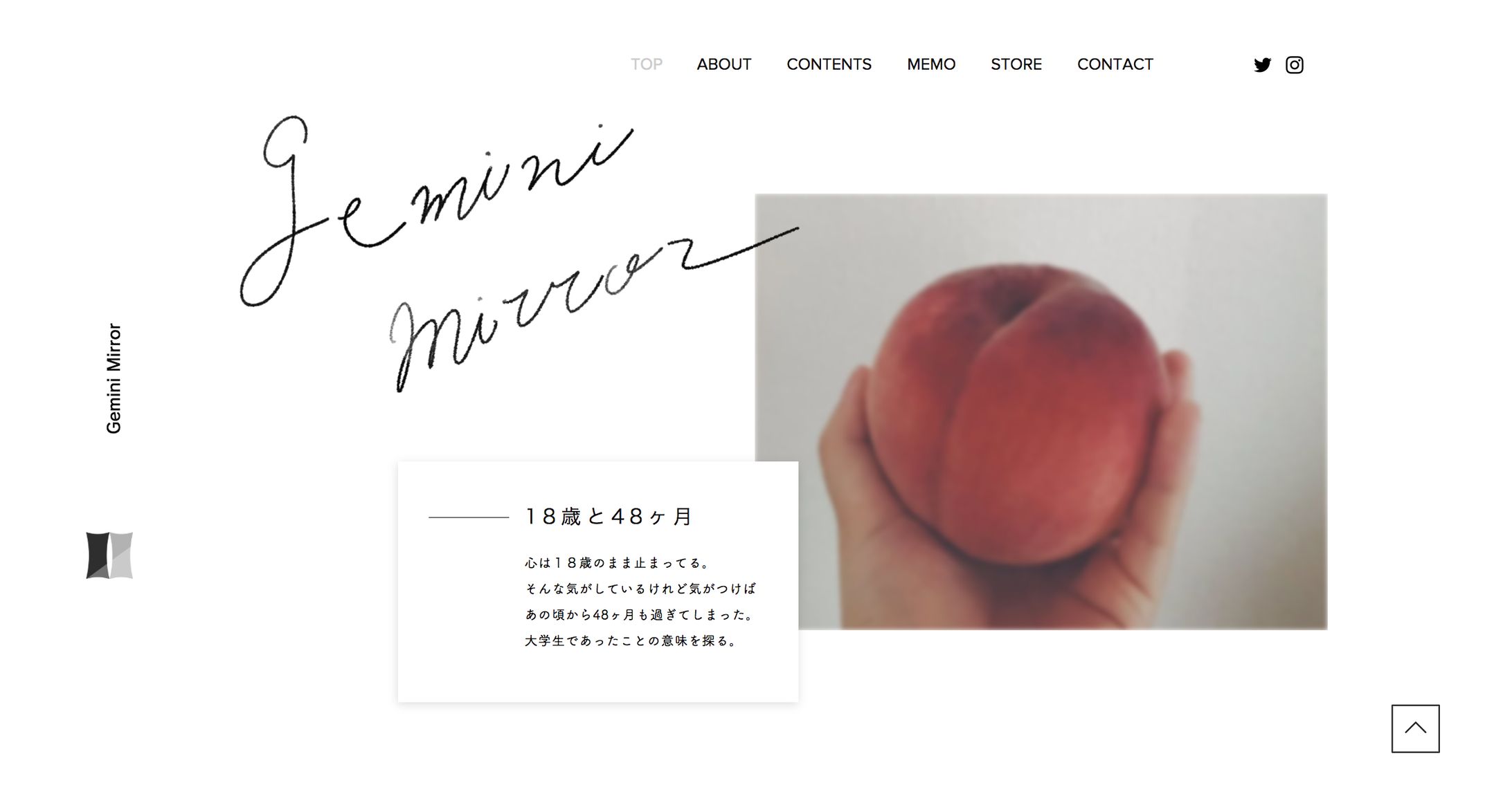geminimirror　webデザイン-1