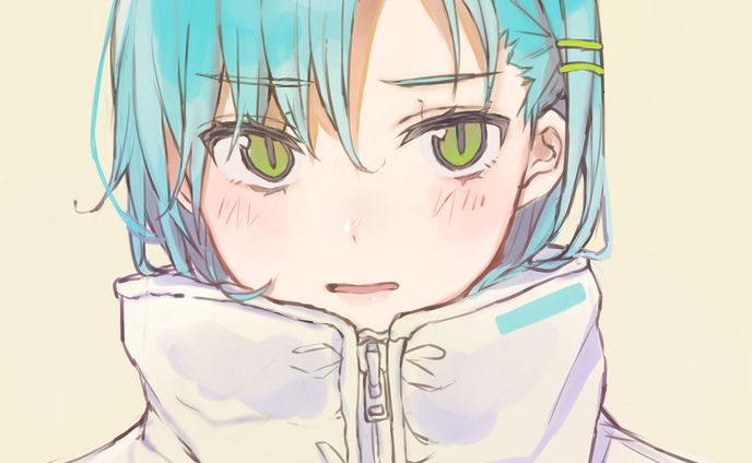 オリジナル、c.プレミアムコース