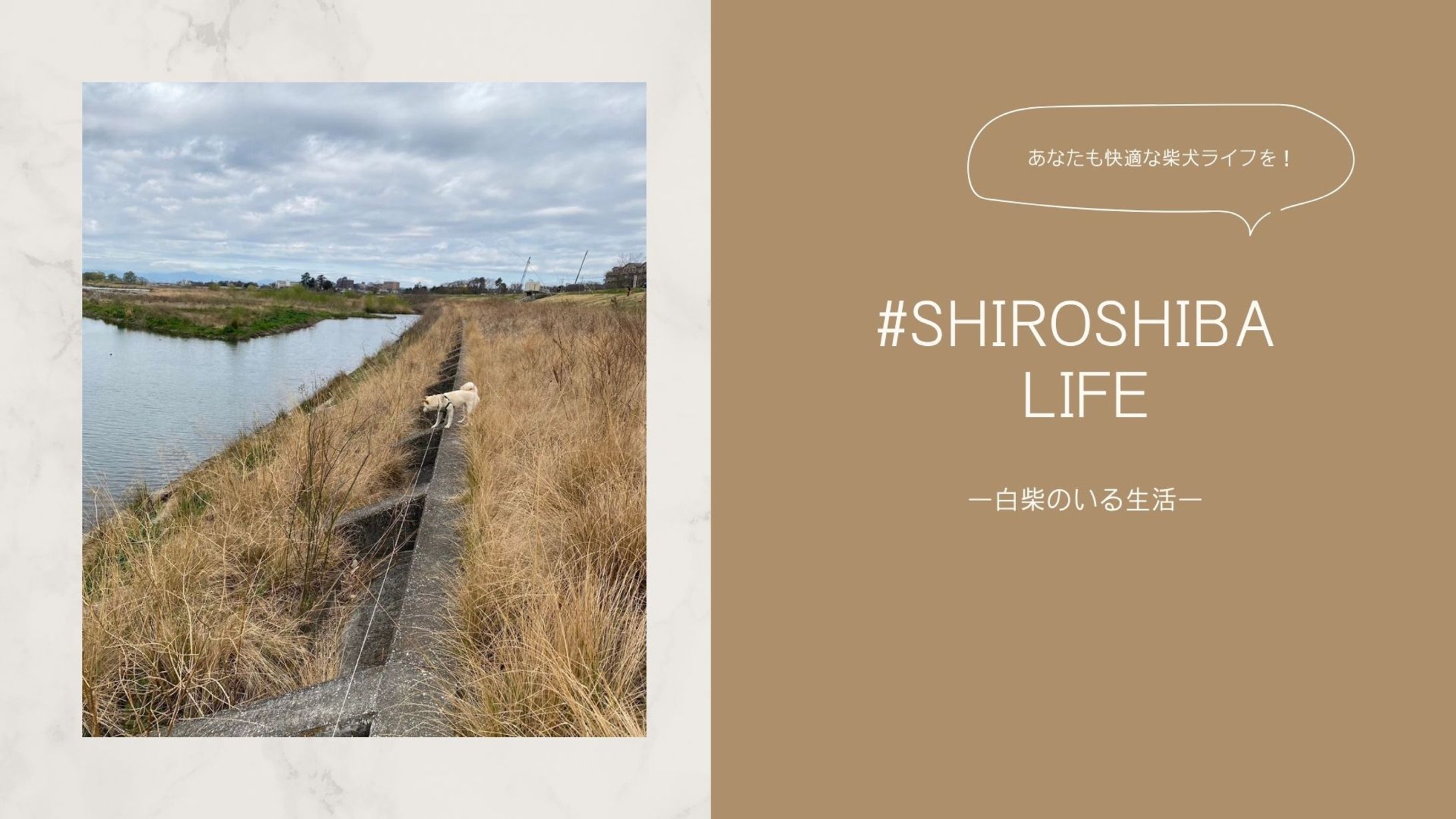 SHIROSHIBA LIFE-1