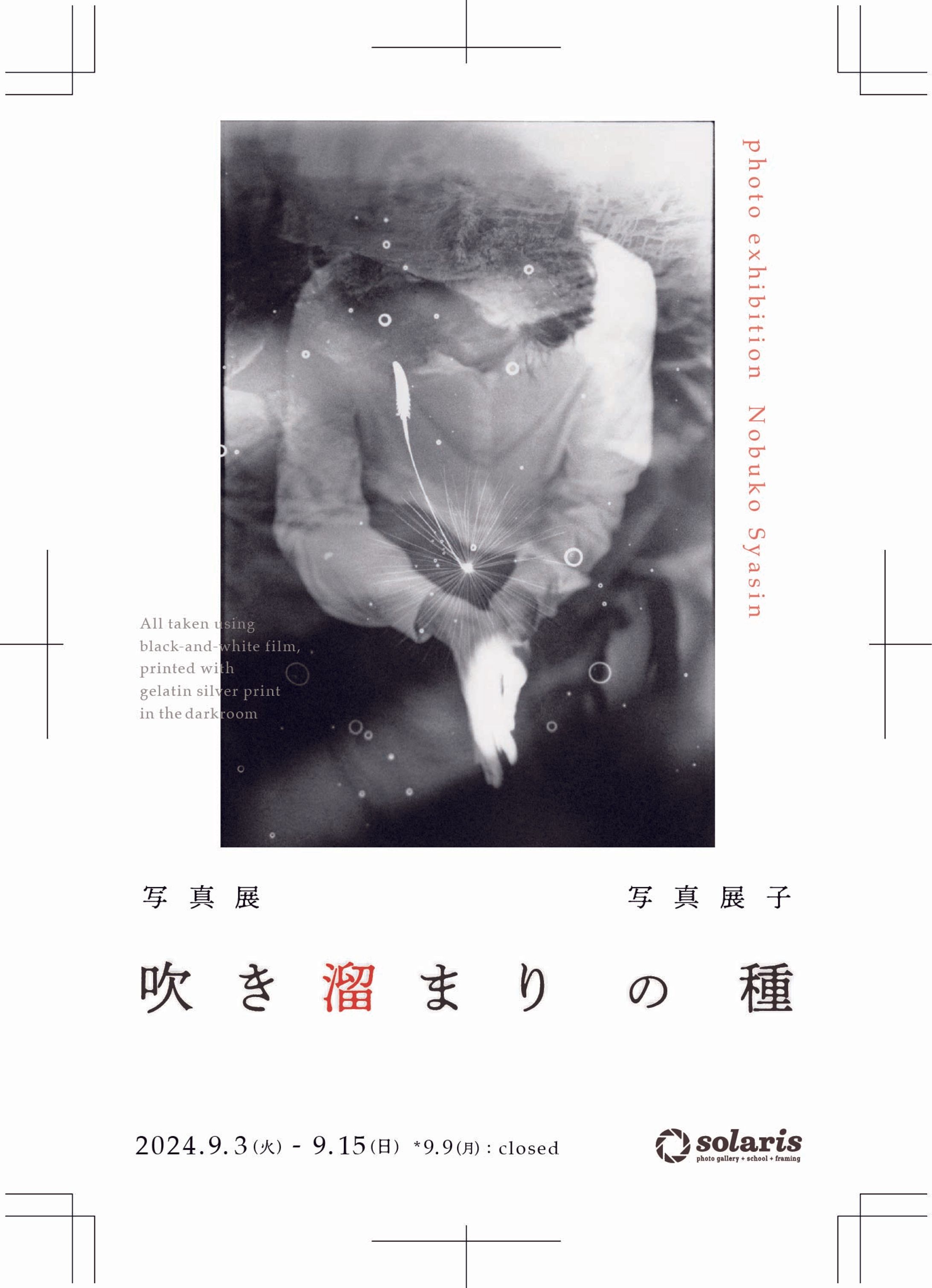 写真展フライヤー【Illustrator】-1