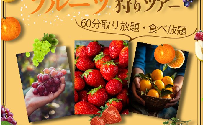 フルーツ狩りツアー