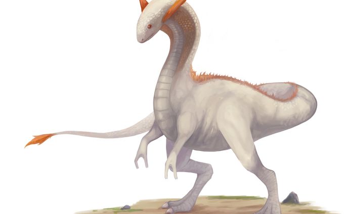 ドラゴン
