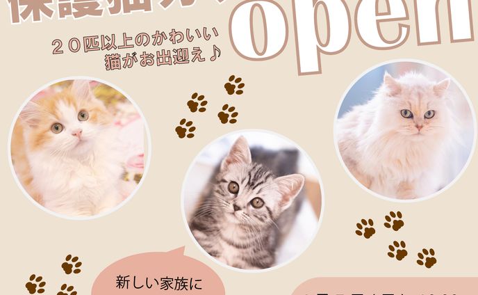 猫カフェ　架空