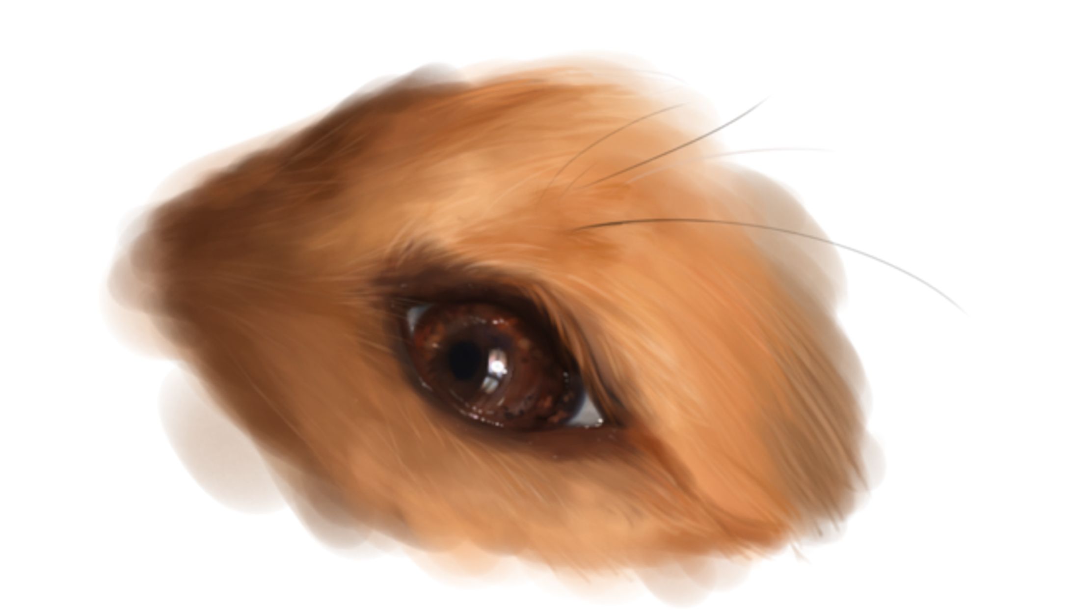 動物似顔絵_描き込み-1