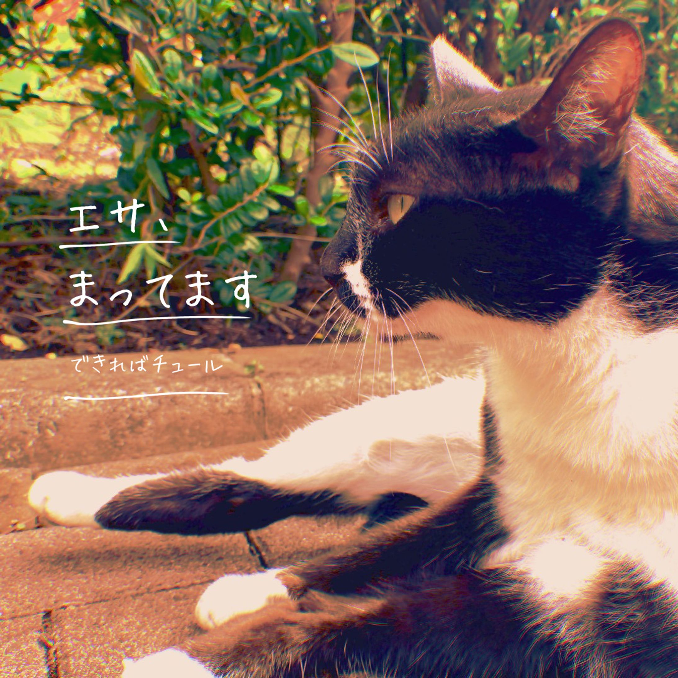 インスタ映えする写真編集-1
