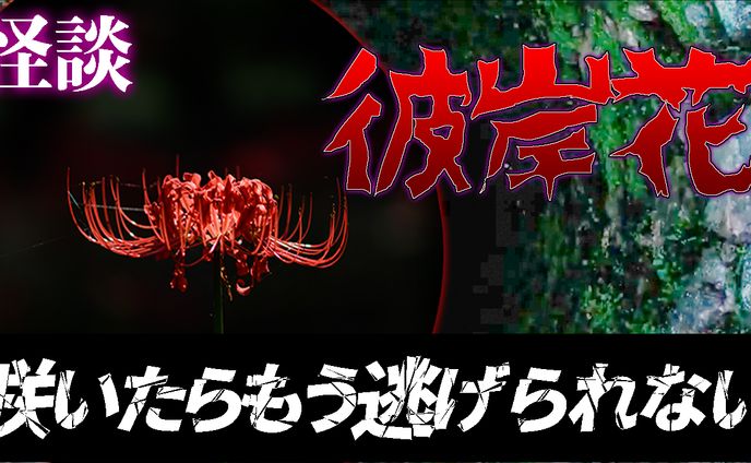 井戸端怪談　サムネイル作成実績