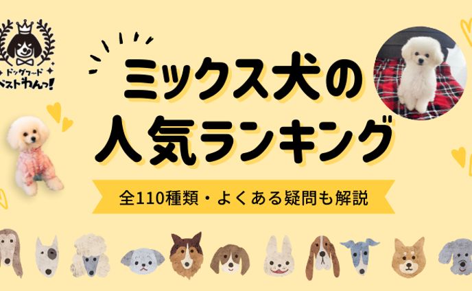 【ドッグフードベストわんっ！様】ブログ記事用アイキャッチ画像テンプレート