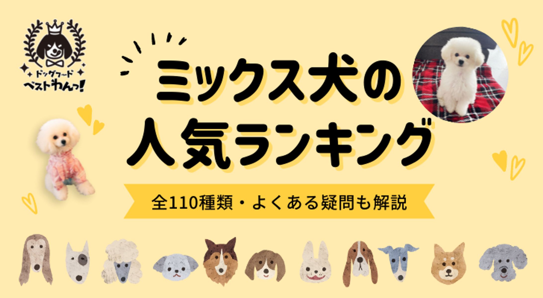 【ドッグフードベストわんっ！様】ブログ記事用アイキャッチ画像テンプレート-1