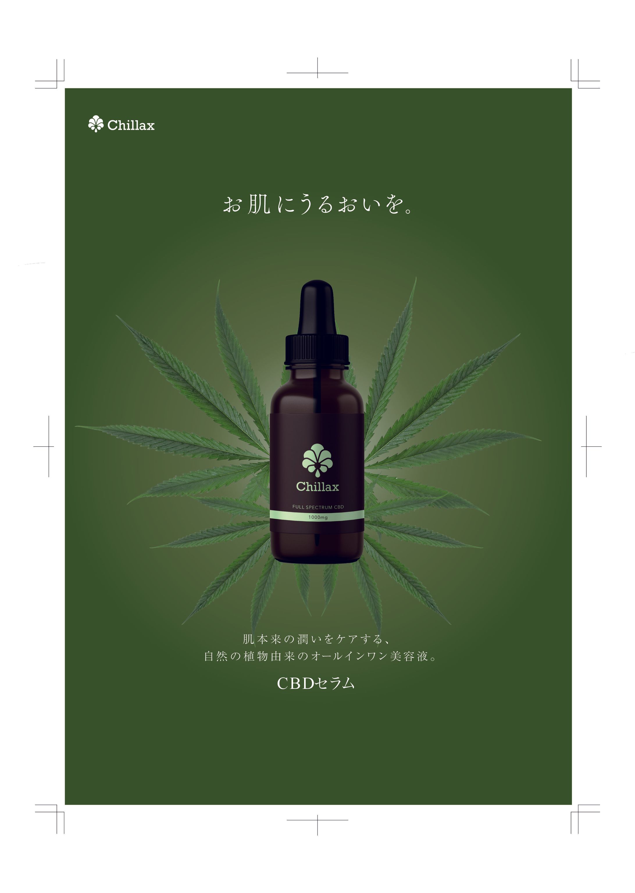 化粧品　チラシ-1