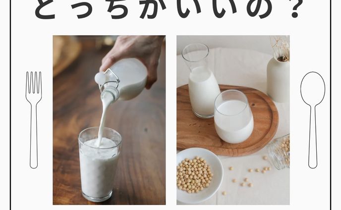 インスタ投稿画像