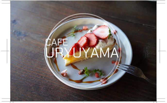 ショップカード