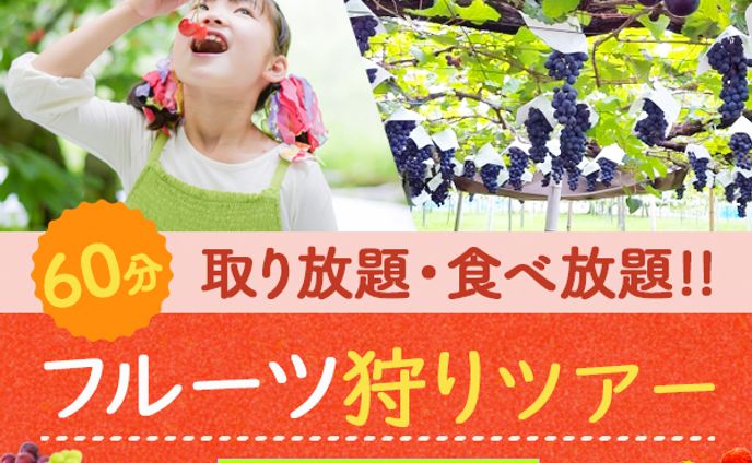 バナー：フルーツ狩りツアー