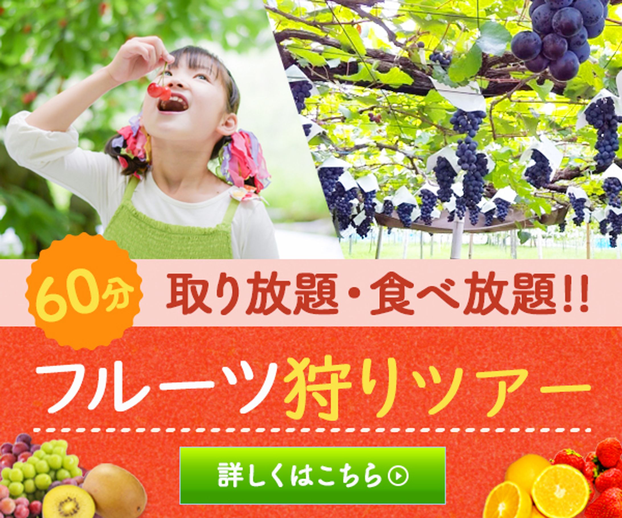 バナー：フルーツ狩りツアー-1