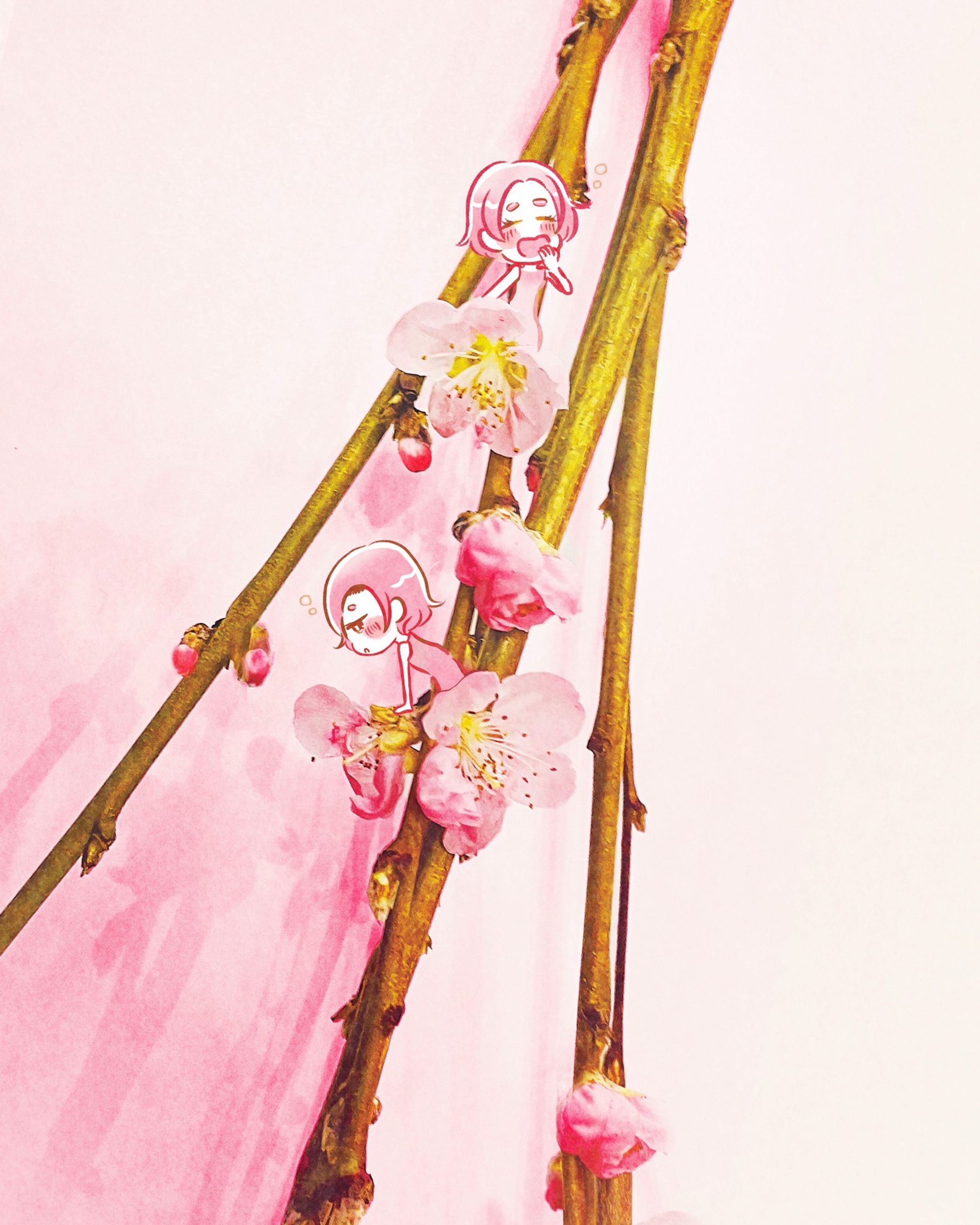 『春の芽吹き』

※個人利用のみ可 #壁紙 #カレンダー

- - - - - - - - -

【３月の壁紙】
梅の写真の上に女の子を描きました🌸
ストーリーをスクショまたはTwitterの投稿から保存してみなさんのスマホを春色に彩ってください♡ 
壁紙のみ使用可です！無断転載・再配布など❌

- - - - - - - - -

#3月 #ふぉといらすと #イラスト #コラージュ　#イラストグラム #イラストレーター #かわいいイラスト #写真に落書き #女の子イラスト #写真にお絵描き #girl #illust #illustration #그림계정맞팔 #はしもとあやね #読書 #壁紙 #スマホ #待受画面 #待受カレンダー #ロック画面 #photodoodle #梅　#花のドレス #梅の花 #春-1