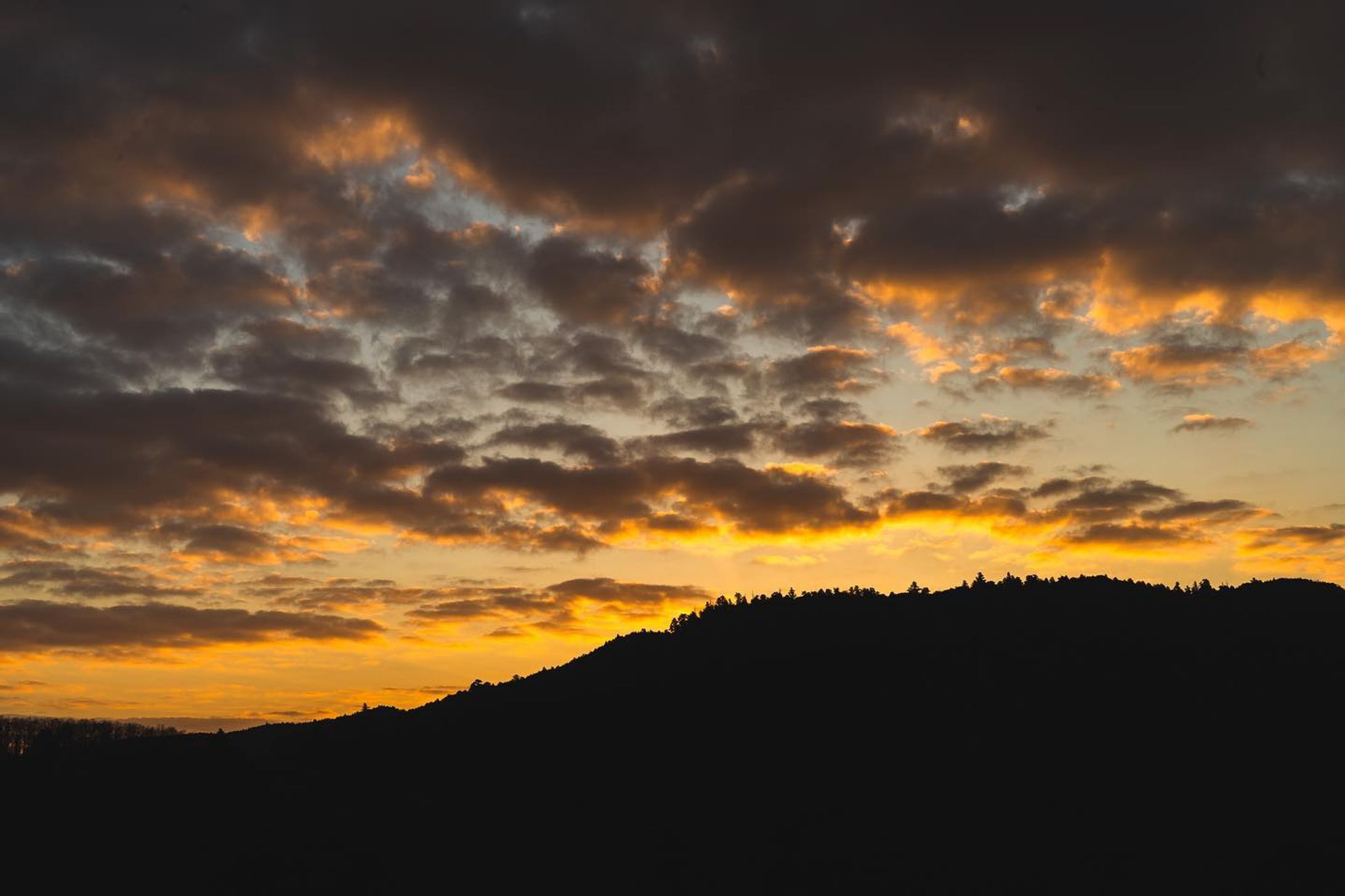 【2023年のご挨拶】
明けましておめでとう御座います🎍
昨年お世話になった全ての皆様、
ありがとうございます。

今年もさらに宜しくお願い致します。
そして、どんな新たな出会いがあるか、非常に楽しみにしております。

初日の出を撮りに若草山へ行って来ました。
その際の写真を。
年初めに良い写真が撮れました。

.
.
#α7ⅲ  #写真好きな人と繋がりたい
#写真撮ってる人と繋がりたい　#カメラ好きな人と繋がりたい
#ファインダー越しの私の世界　#キリトリセカイ
#ダレカニミセタイケシキ　#tokyocameraclub
#IGersJP #ig_japan #team_jp_ #Lovers_Nippon
#art_of_japan_ #bestjapanpics 
#ig_phos #love_bestjapan
#初日の出 #マジックアワー #若草山 
#2023-1
