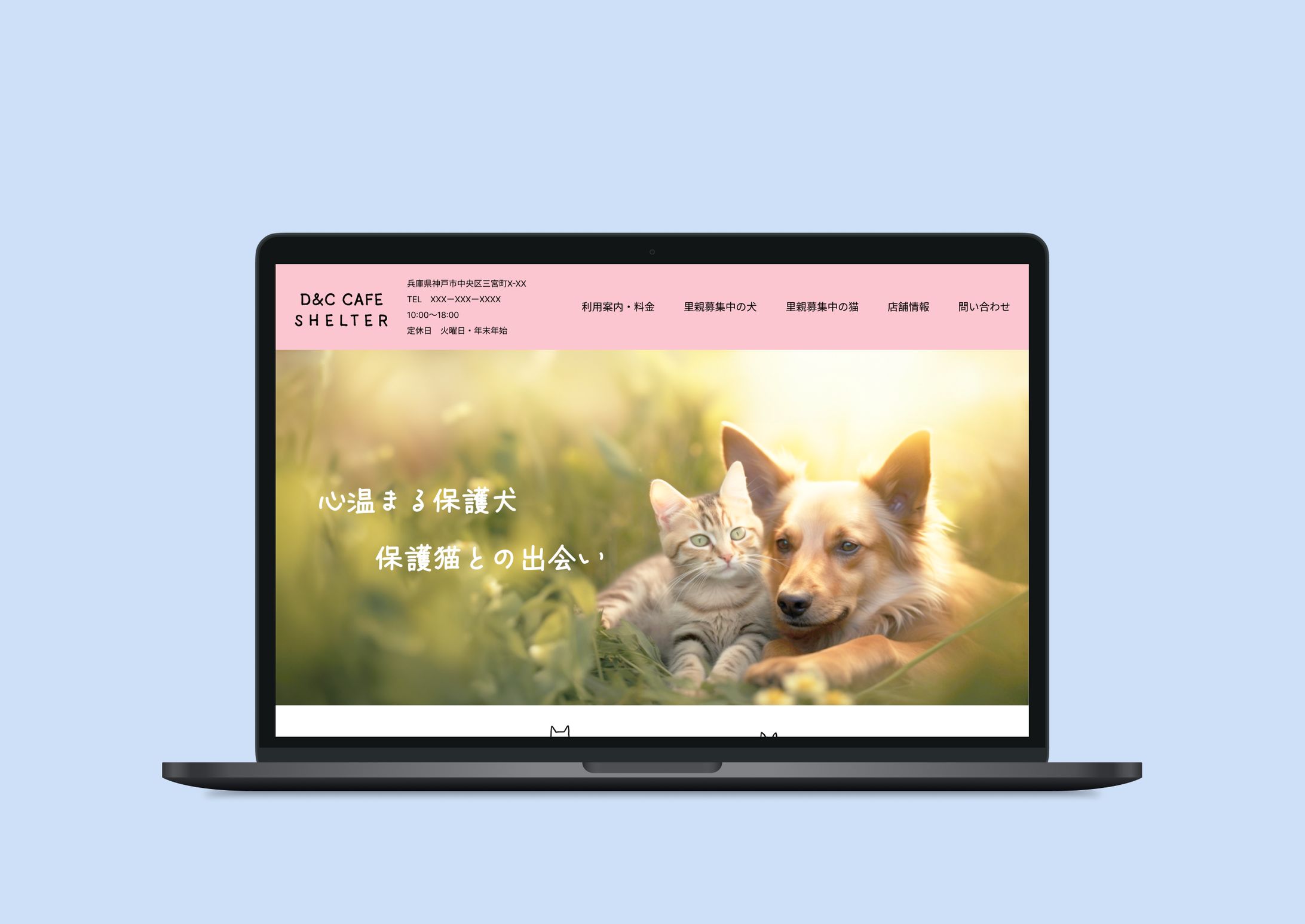 保護犬猫カフェHP【架空】-1