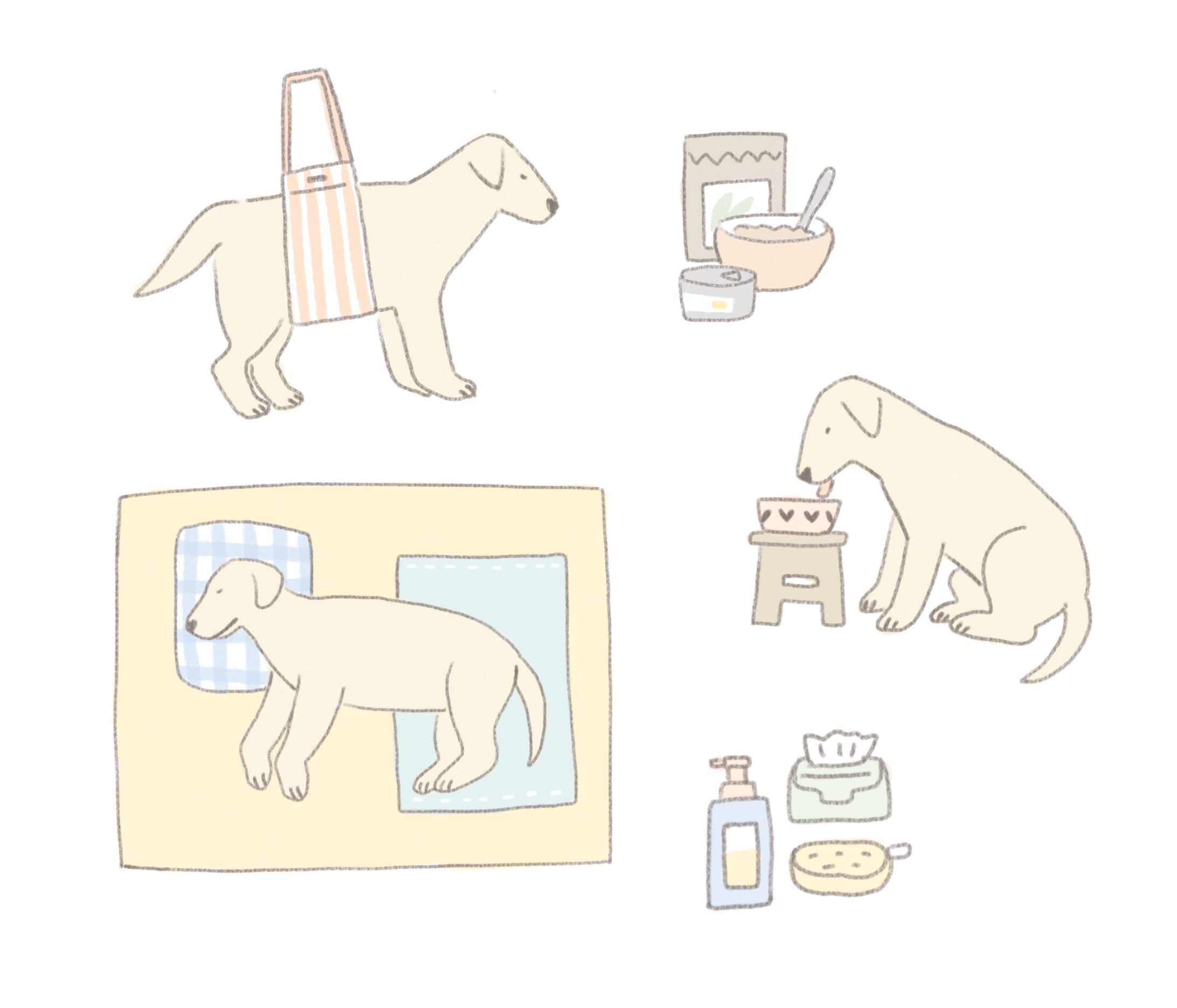 Dog Care -1