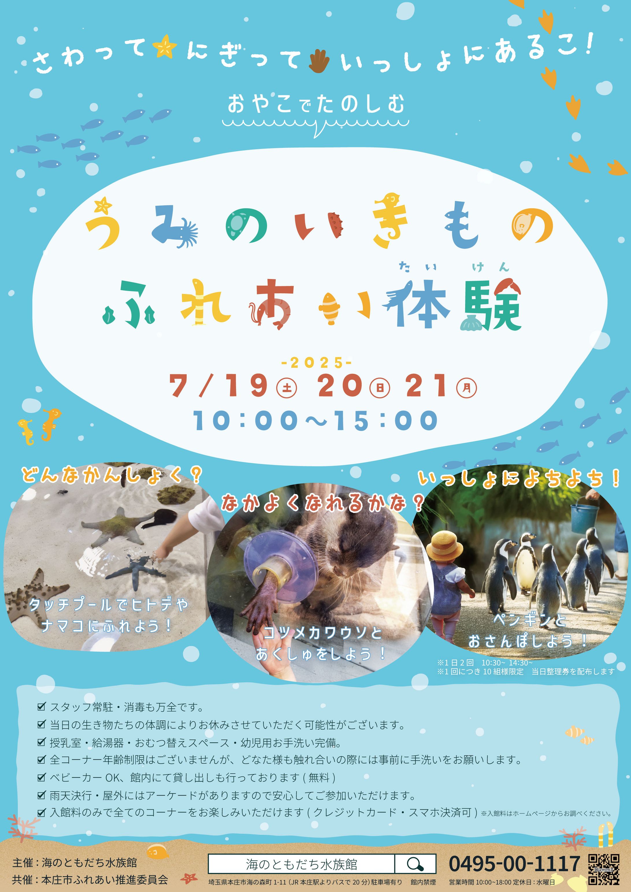 水族館ふれあい体験フライヤー-1