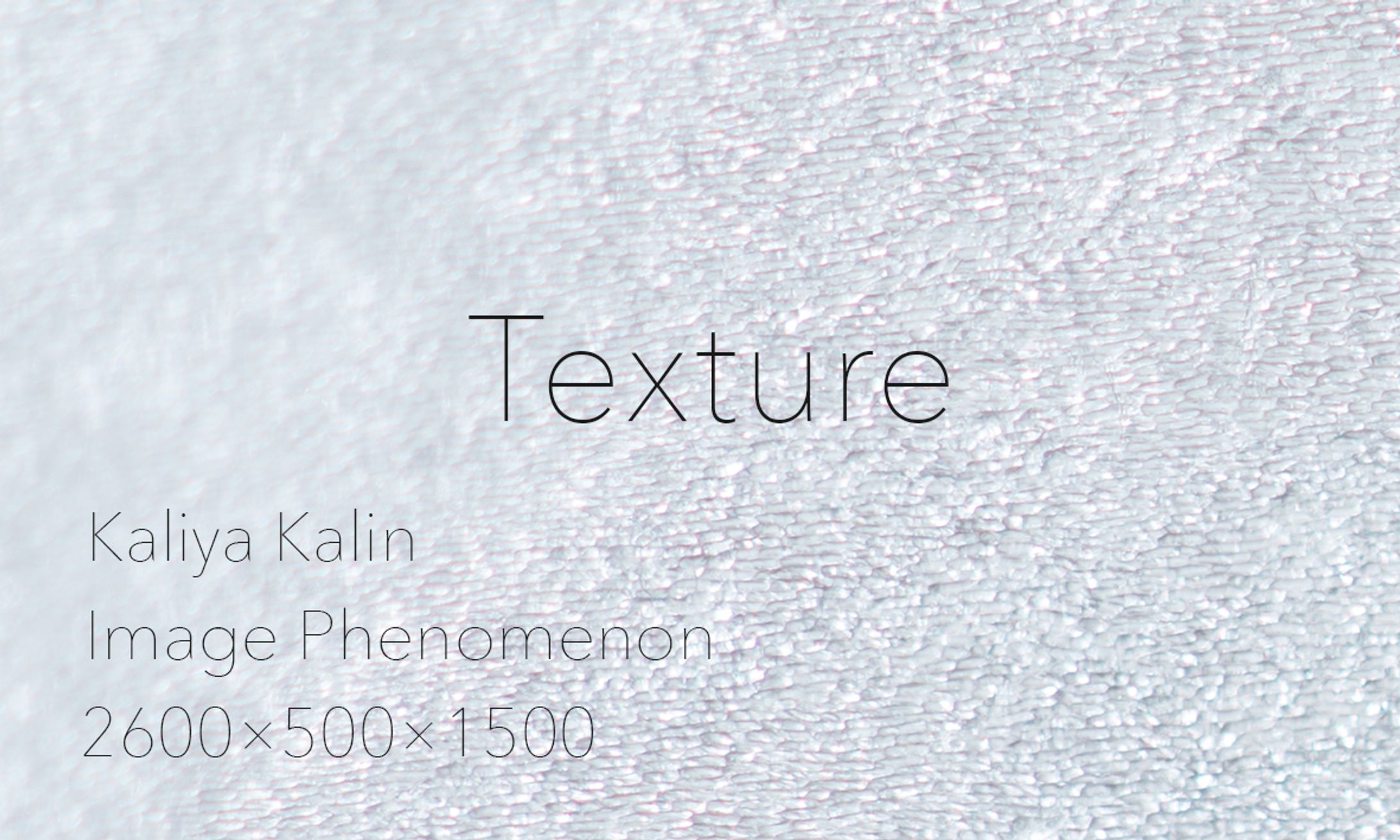 Texture(2016)-1