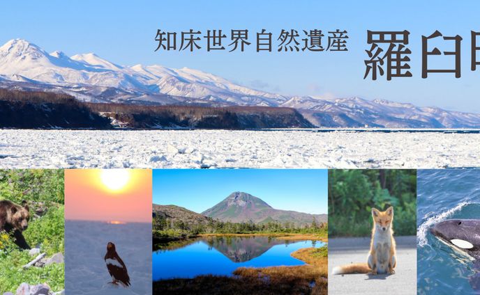 写真、地域