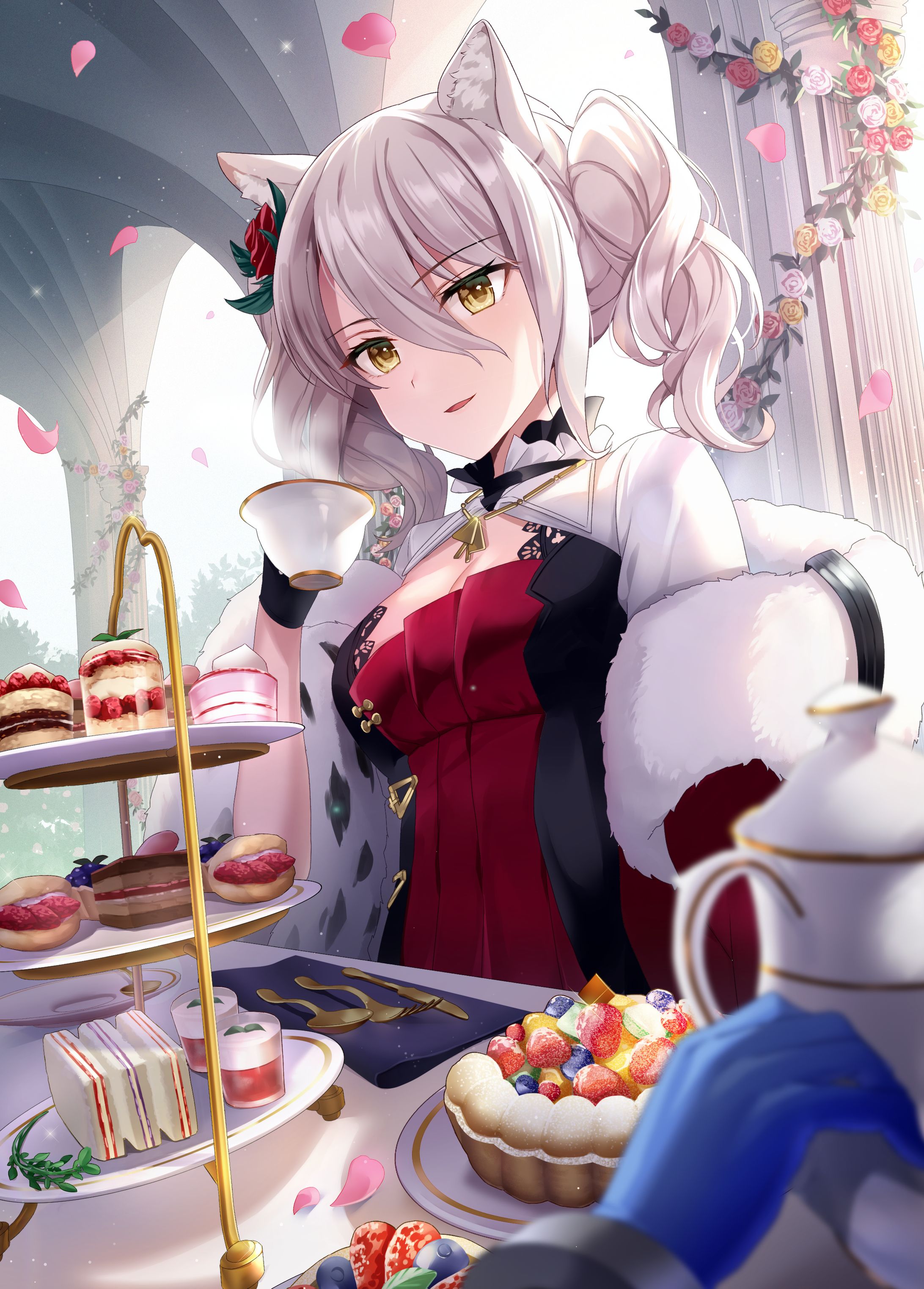 エコカリイラコン-1