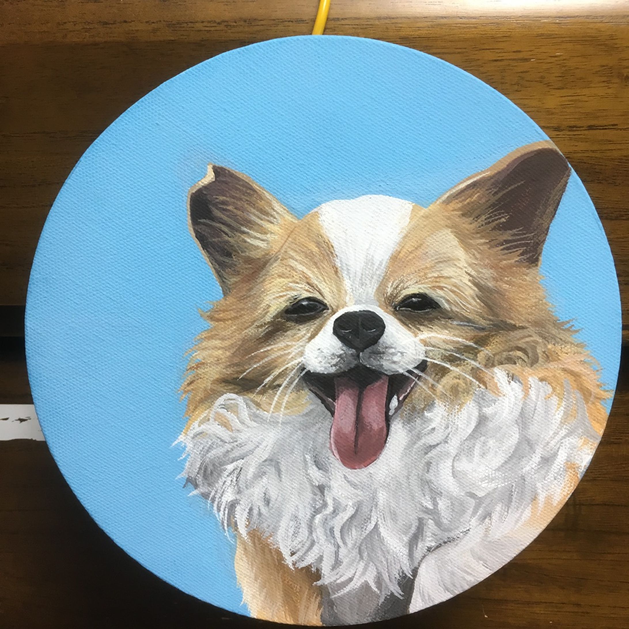 動物似顔絵１-1