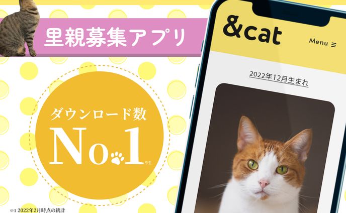 猫のマッチングアプリ