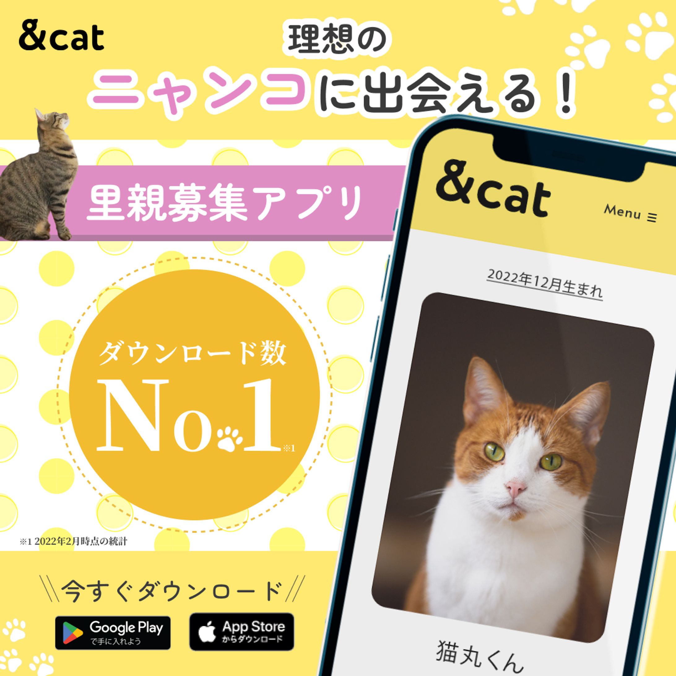 猫のマッチングアプリ-1
