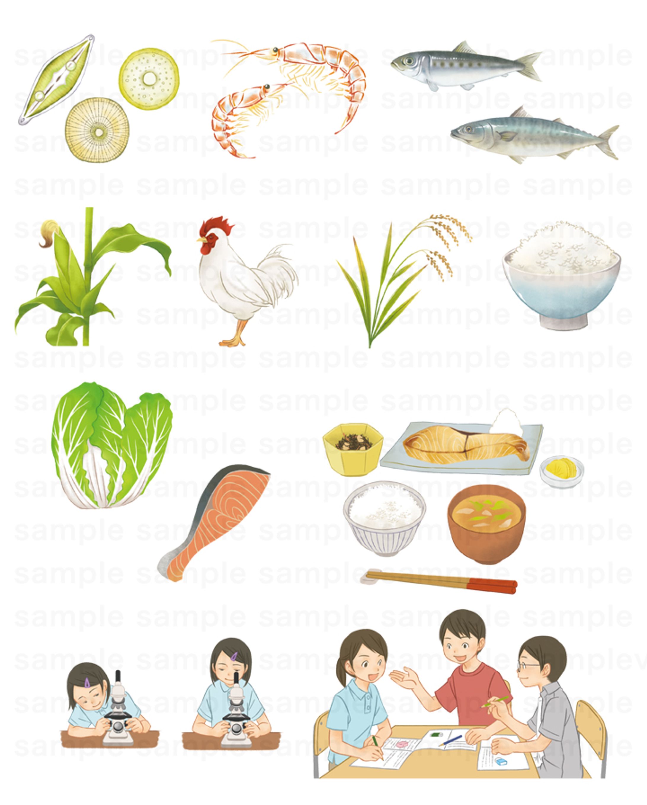 2020年度小学校教科書「たのしい理科」（大日本図書）-1