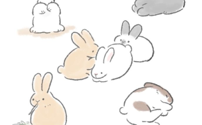 うさぎ